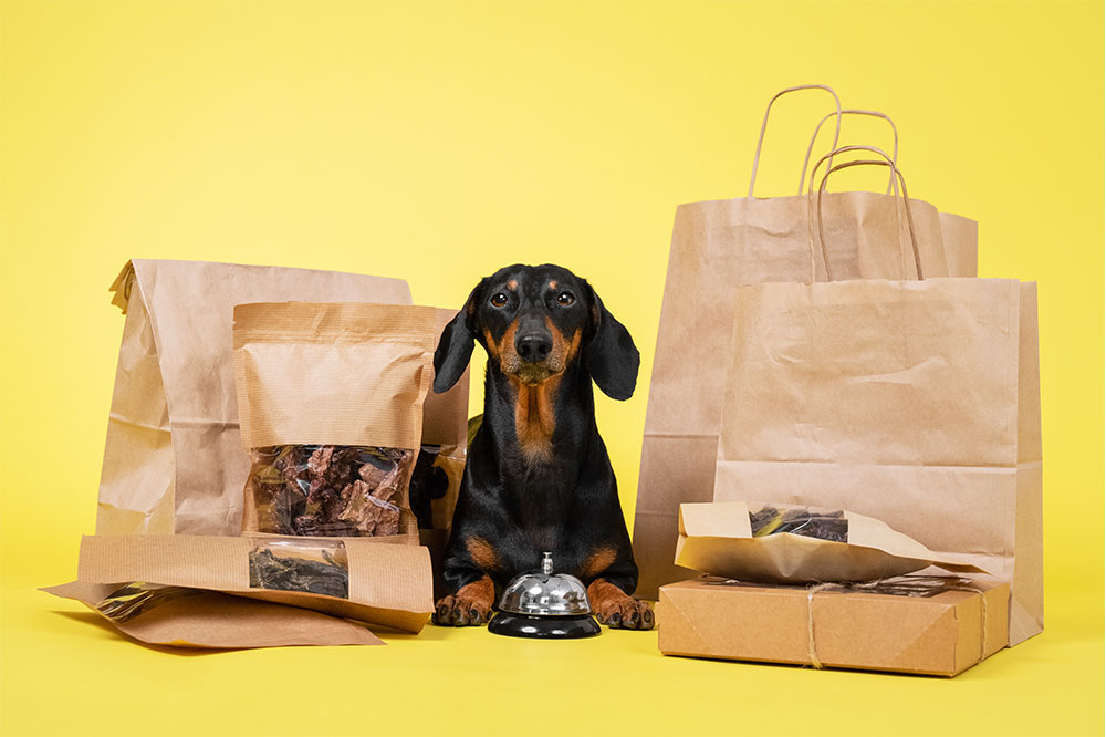 Top 4 monthly puppy subscription boxes