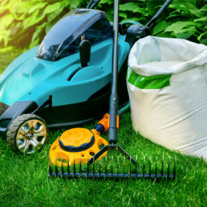 Top 5 lawn care tips to check out